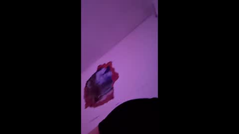 Snapshot of bgiamba21 chatting on 02.07.26 bgiamba21 online show from 02.07.26