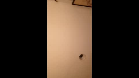 Snapshot of bgiamba21 chatting on 03.14.26 bgiamba21 online show from 03.14.26