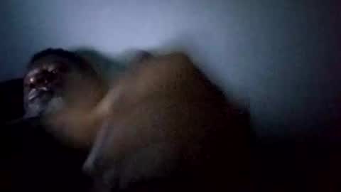 bi582945 online show from 02.14.26