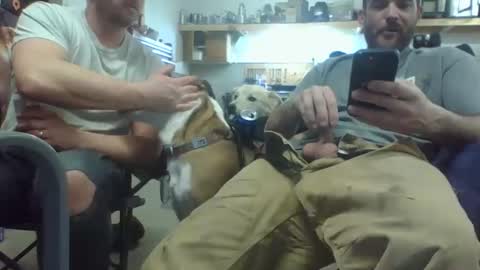 bicboy007 online show from 03.08.25