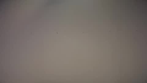 Biff Beaverhousen online show from 11.01.25