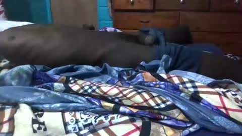 Snapshot of big365754 chatting on 08.03.26 big365754 online show from 08.03.26