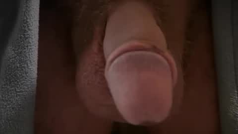 bigbk42 online show from 02.08.26