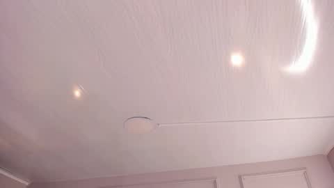   online show from 11.13.25