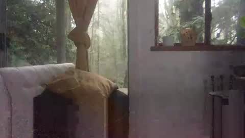 bigbossforsirius online show from 12.01.24