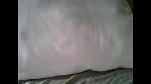 Snapshot of bigbravo337 chatting on 11.22.25 bigbravo337 online show from 11.22.25