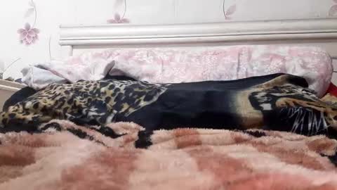 bigcock977654 online show from 02.23.25