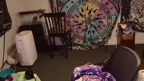 Cock and Cheese online show from 02.23.25