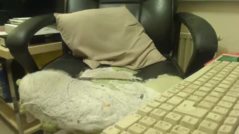 Snapshot of bigcurve chatting on 01.30.25 bigcurve online show from 01.30.25