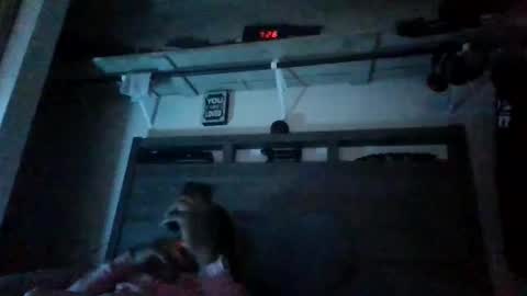 bigdickdaddy3200798456 online show from 12.28.24