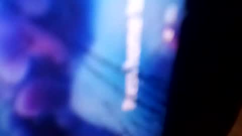 Snapshot of bigdickdaddy42023 chatting on 12.04.24 Rooster P online show from 12.04.24