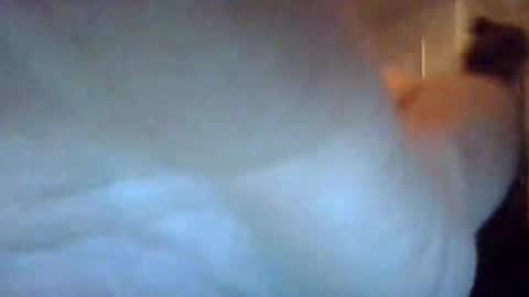 Snapshot of bigdickdaddy7201979564868 chatting on 09.22.25 bigdickdaddy7201979564868 online show from 09.22.25