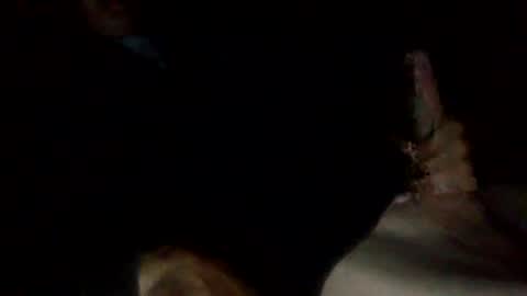 bigdickdangles472924 online show from 07.25.26