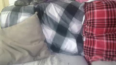 bigdicktrannynicole online show from 01.29.25