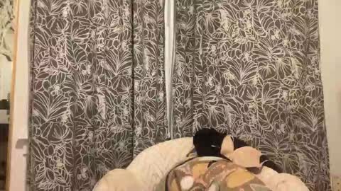 bigdickwalkin online show from 02.15.26