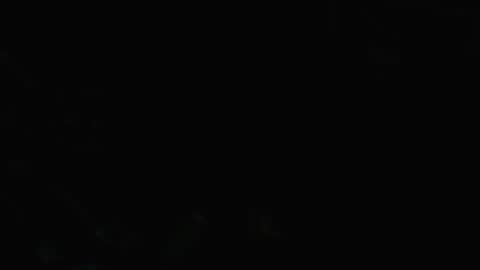 Snapshot of bigdizzyd chatting on 12.28.24 7inchstroker online show from 12.28.24