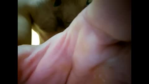 Snapshot of bigjoeyblow chatting on 11.01.25 bigjoeyblow online show from 11.01.25