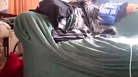 bigmanaround9 online show from 12.11.24