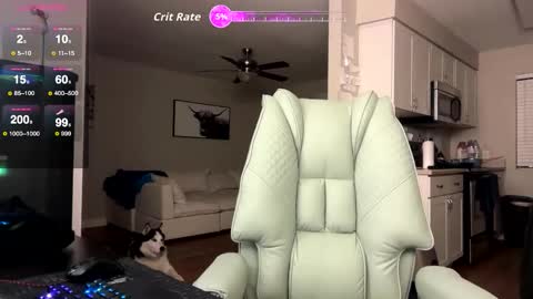 Nick Barker online show from 02.03.26