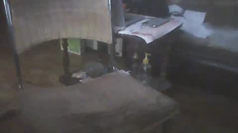 Snapshot of bigpenix chatting on 01.15.25 bigpenix online show from 01.15.25