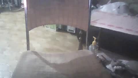 Snapshot of bigpenix chatting on 01.26.25 bigpenix online show from 01.26.25