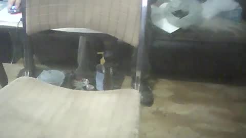 Snapshot of bigpenix chatting on 10.17.25 bigpenix online show from 10.17.25