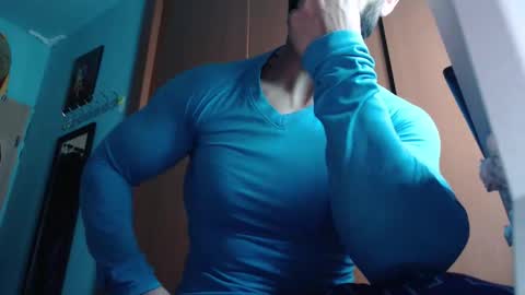 BigStallion online show from 11.17.25