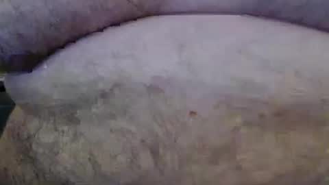 Snapshot of bigstudfred chatting on 03.08.26 jason online show from 03.08.26