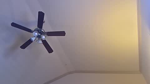 Snapshot of bigswoletroll chatting on 03.12.26 bigswoletroll online show from 03.12.26