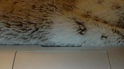 Snapshot of bigtitslover3500 chatting on 03.21.26 bigtitslover3500 online show from 03.21.26