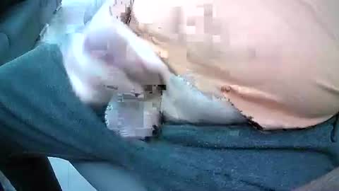 Snapshot of bikeman17 chatting on 10.04.25 bikeman17 online show from 10.04.25