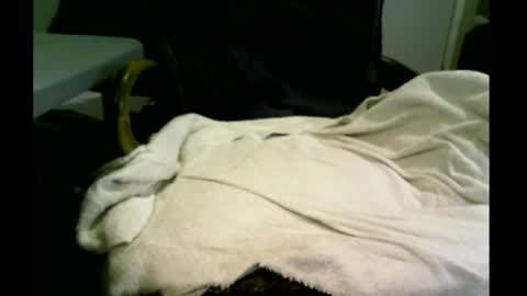 Snapshot of bimale4hotphuk chatting on 02.20.25 bimale4hotphuk online show from 02.20.25