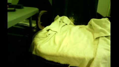 Snapshot of bimale4hotphuk chatting on 02.21.25 bimale4hotphuk online show from 02.21.25