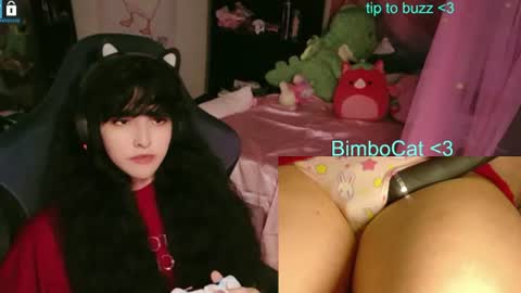 BimboCat online show from 06.12.26