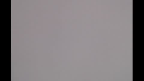 bivi  hot online show from 12.15.24