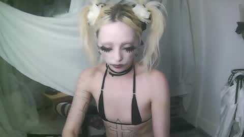 vampire fang  online show from 01.07.26