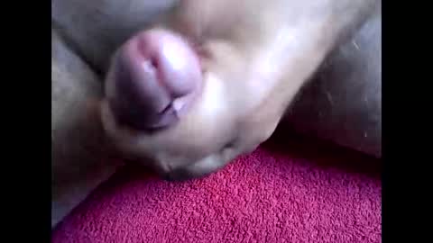 Snapshot of blabla78000 chatting on 09.15.25 blabla78000 online show from 09.15.25