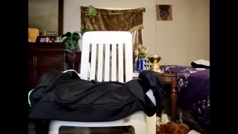 Snapshot of blacccocc4u2 chatting on 03.29.26 blacccocc4u2 online show from 03.29.26