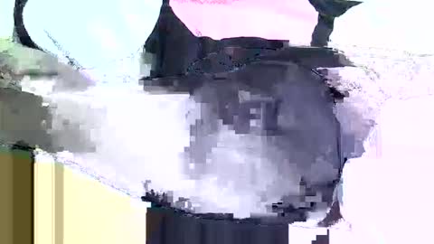 black_berry9 online show from 03.16.26