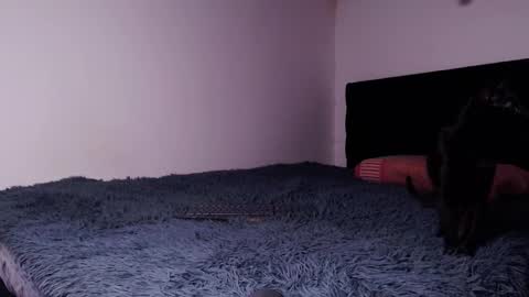 Snapshot of black_firex chatting on 10.06.25 black_firex online show from 10.06.25