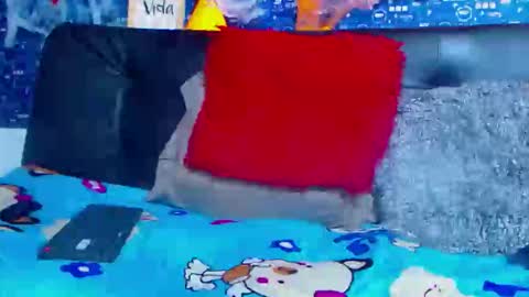 duglas online show from 11.05.25