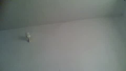 Snapshot of blackafrica2023 chatting on 11.15.25 black african online show from 11.15.25