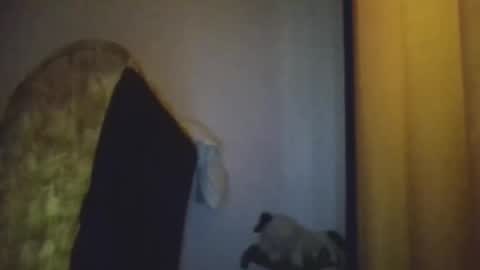 Snapshot of blackafrica2023 chatting on 11.20.25 black african online show from 11.20.25