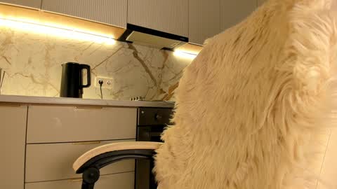 Snapshot of blackmilk_01 chatting on 01.20.25 Karina online show from 01.20.25