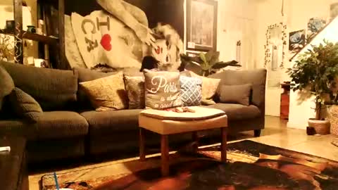 blackriches96 online show from 02.14.26