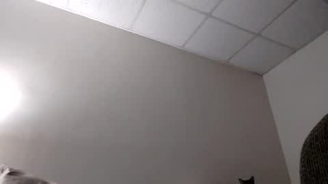 blahblam420 online show from 02.05.25