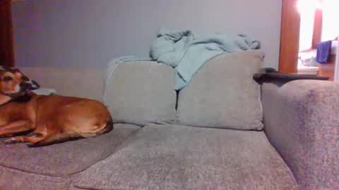 blaw_1321 online show from 03.05.25