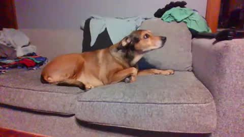 blaw_1321 online show from 03.08.25