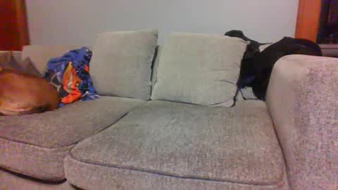 blaw_1321 online show from 10.04.25