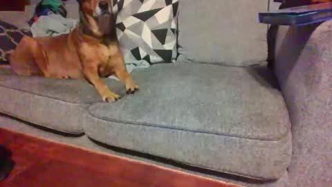 blaw_1321 online show from 11.14.25